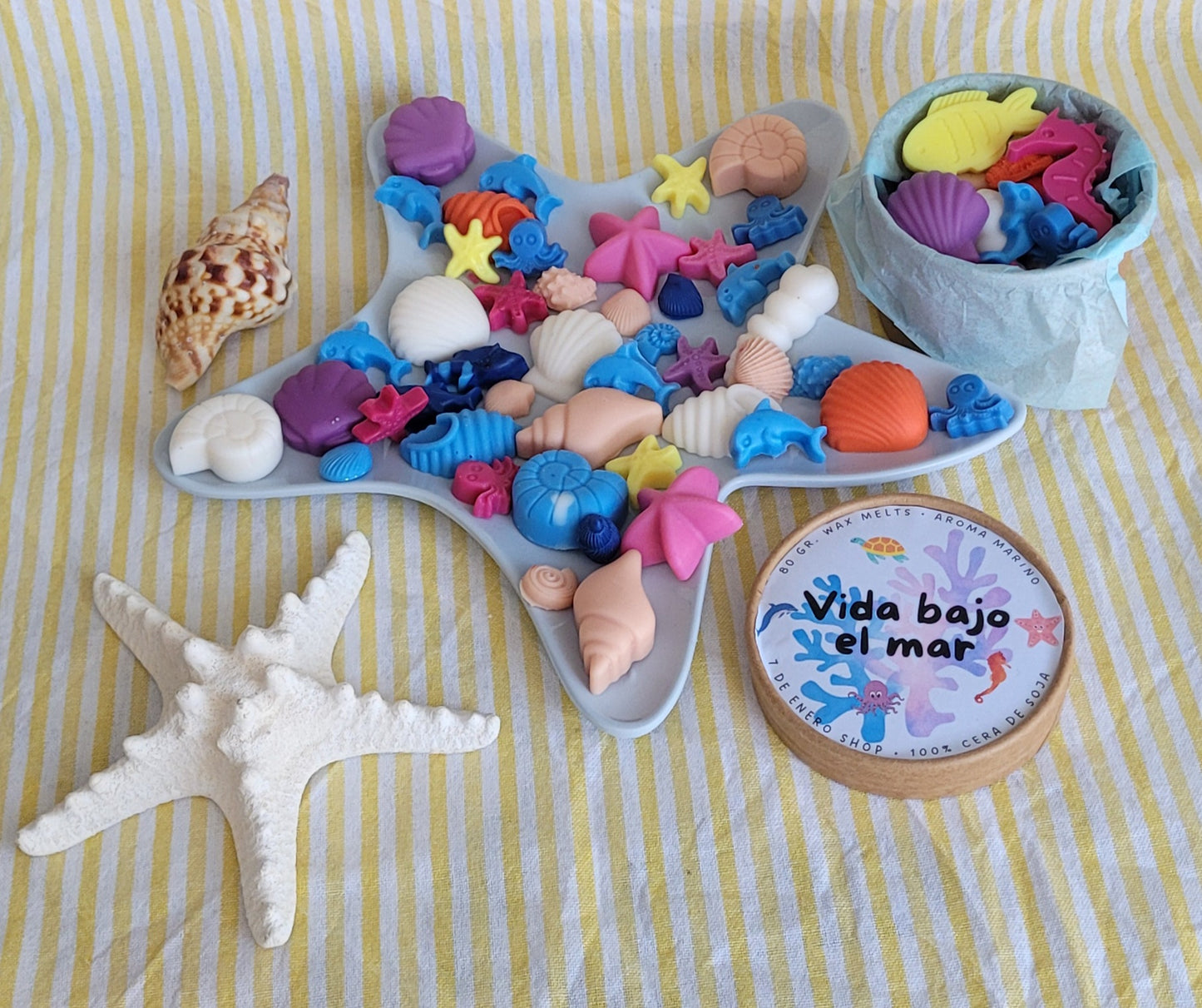 Vida bajo el mar
