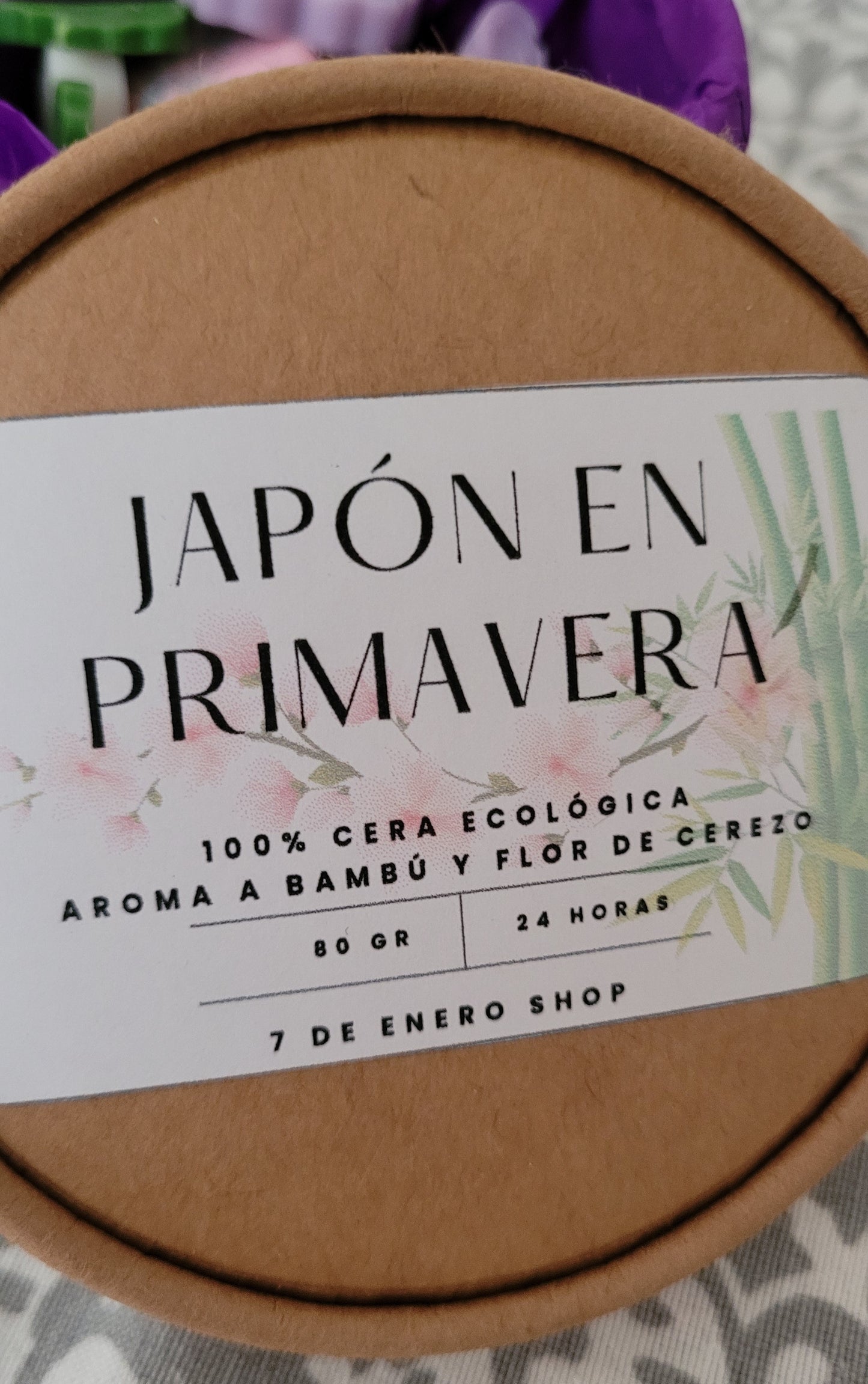 Japón en primavera