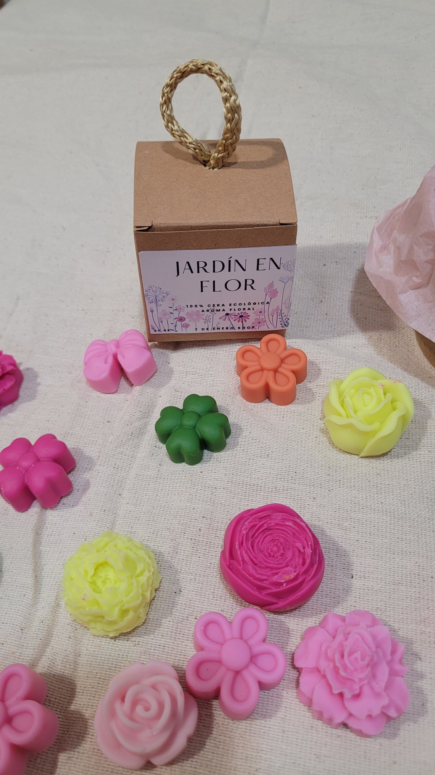 JardĂn en flor