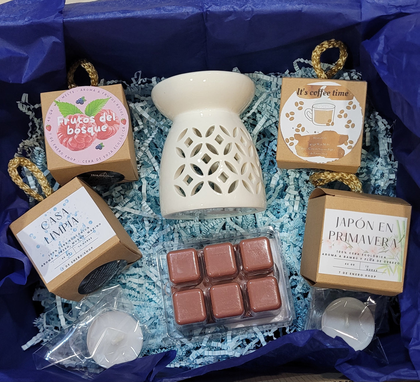 Kit "Descubre los waxmelts"