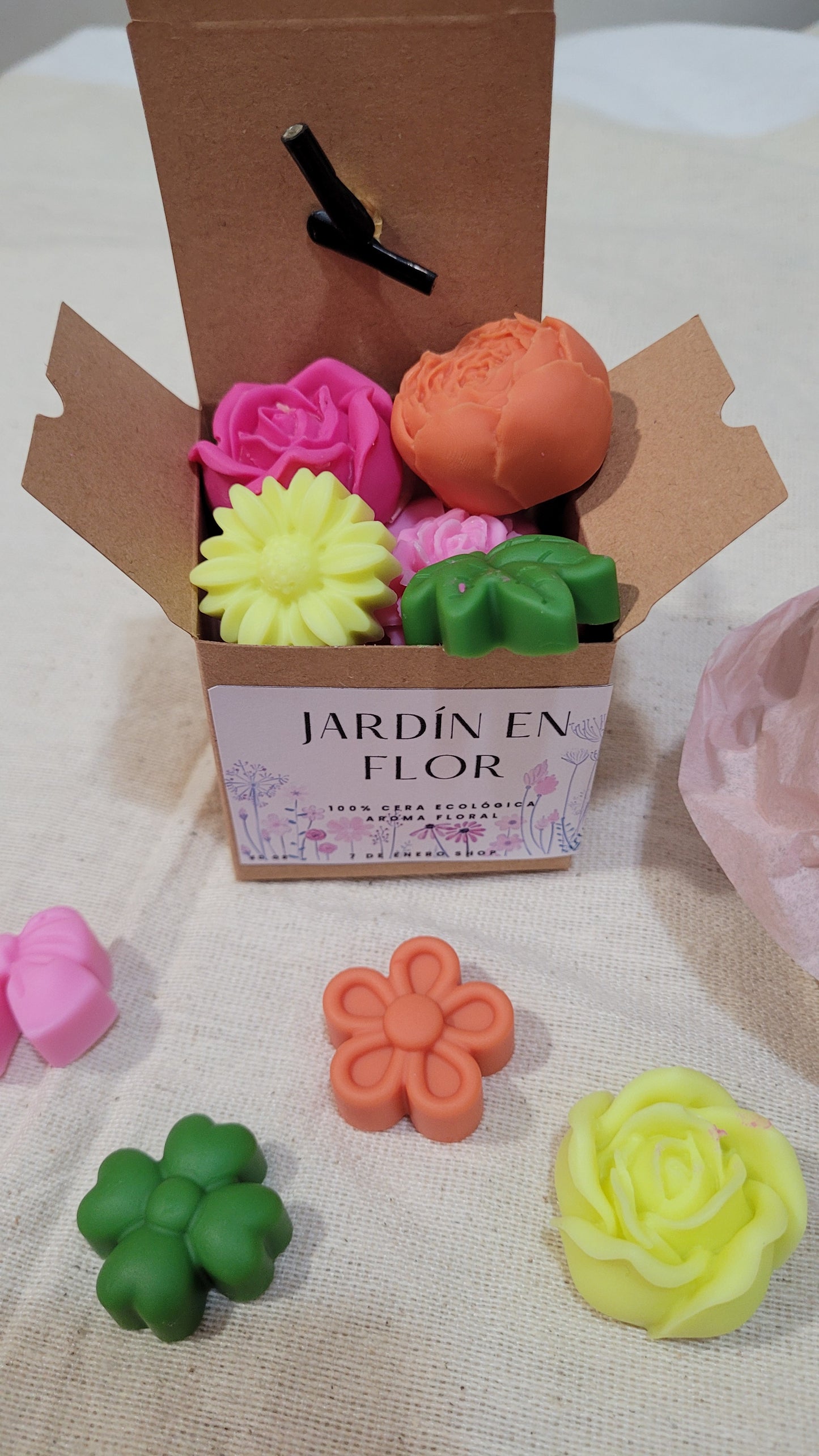 Jardín en flor