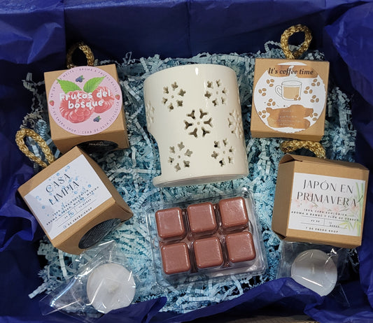 Kit "Descubre los waxmelts"