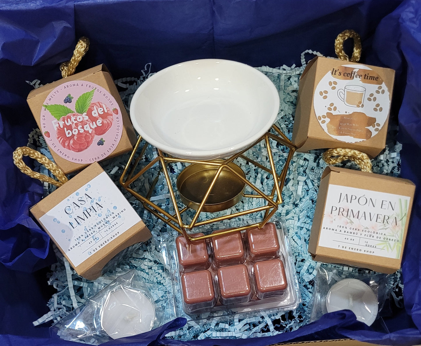 Kit "Descubre los waxmelts"