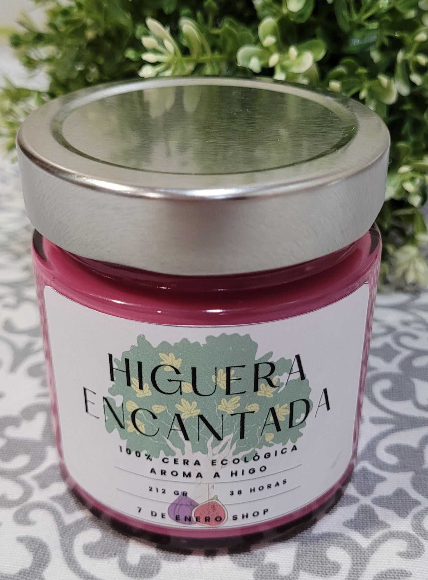 Higuera encantada