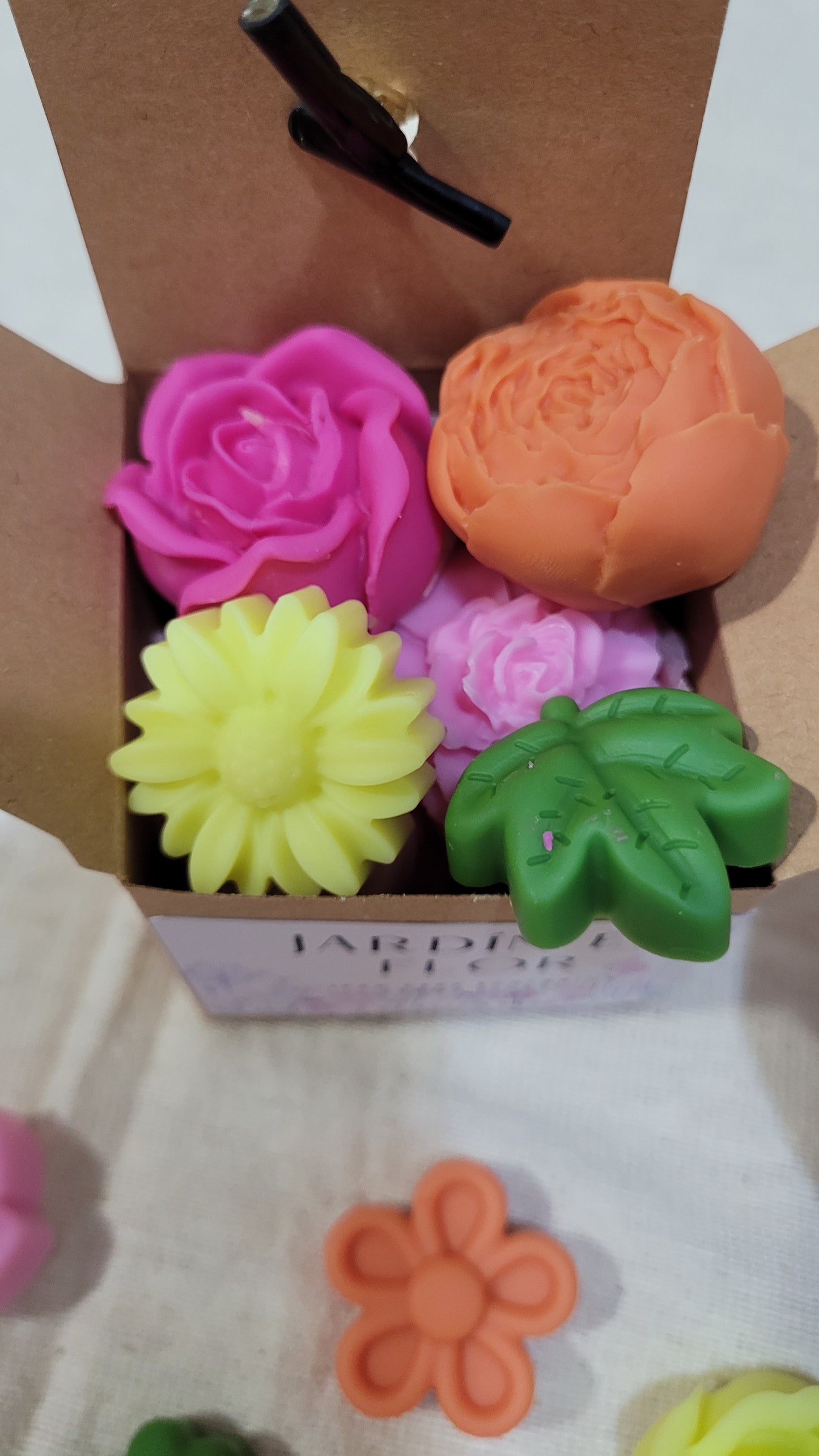 Jardín en flor