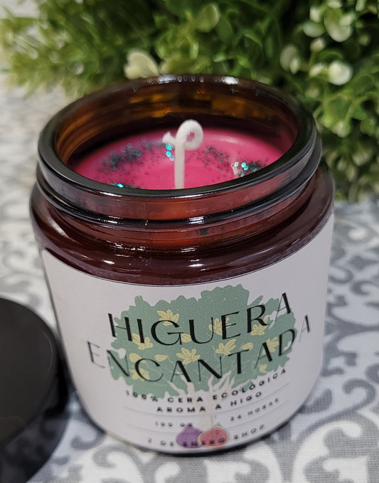 Higuera encantada mini