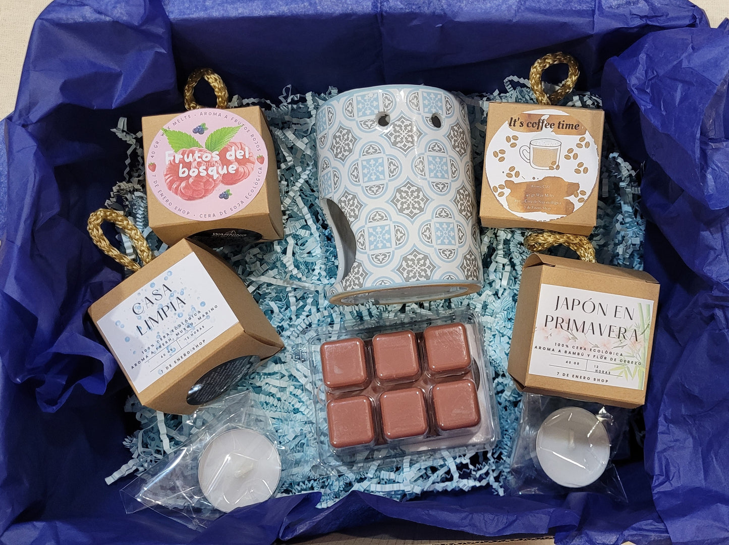 Kit "Descubre los waxmelts"