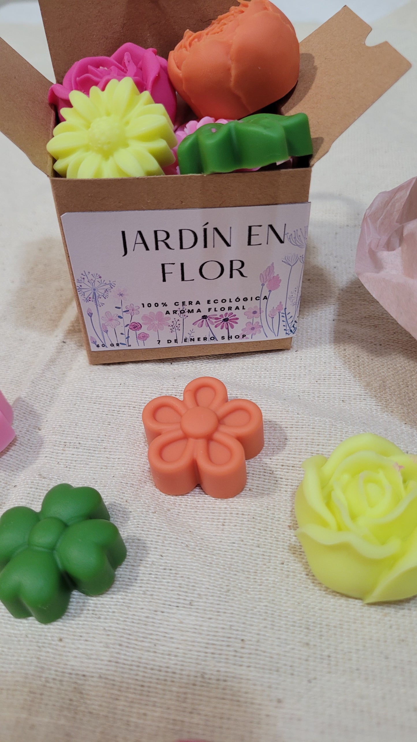 Jardín en flor