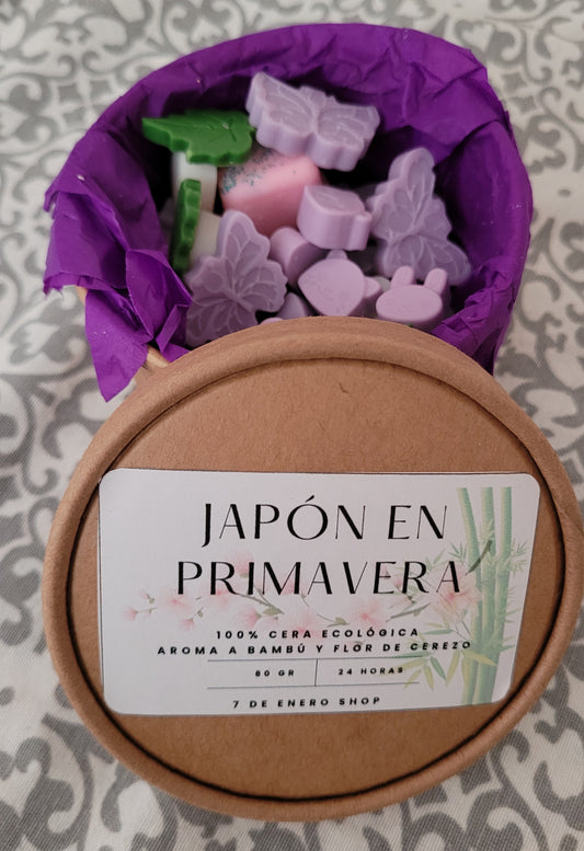 Japón en primavera