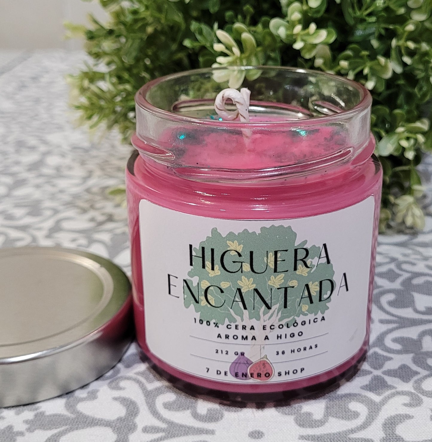 Higuera encantada