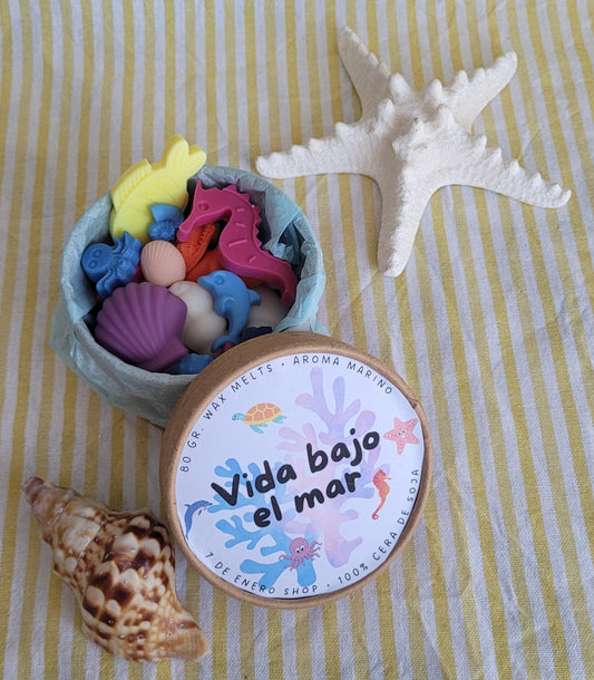 Vida bajo el mar